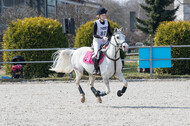 Eventing Langenfeld 2018