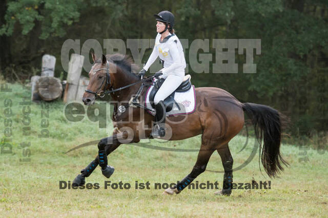 Vielseitigkeitsturnier RSV St. Hubertus Wesel Obrighoven