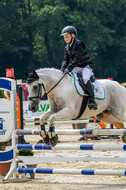 Goldene Schärpe 2021 - Ponys