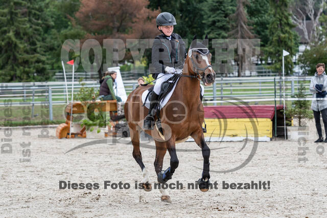 Late-Entry-Vielseitigkeit Langenfeld (06.+07.07.2020)