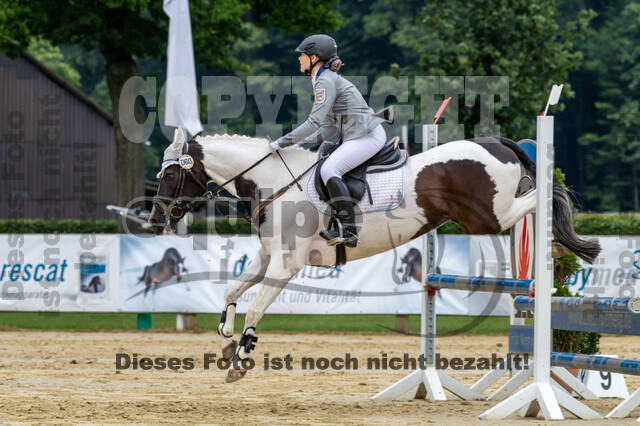 Goldene Schärpe 2021 - Ponys