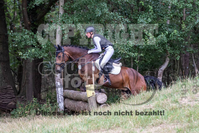 Late-Entry Vielseitigkeit Hamminkeln/Wesel (01.+02.08.2020)