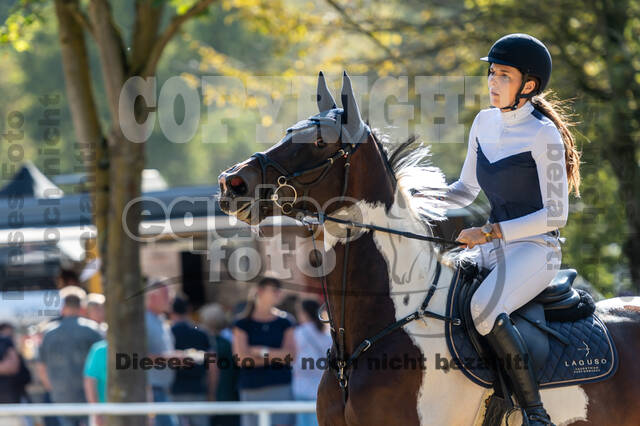 RFV Dinslaken-Hiesfeld (Herbstturnier)