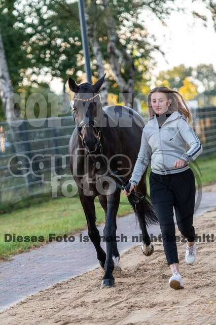 Deutsche Meisterschaft Vielseitigkeit (Luhmühlen)