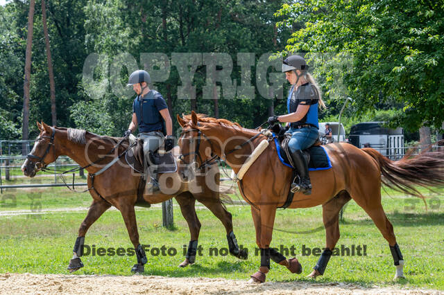 Hunter Geländetraining 10.07.2021 (Sonsbeck)