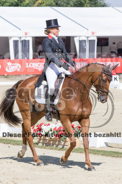 FEI European Championship Eventing 2017