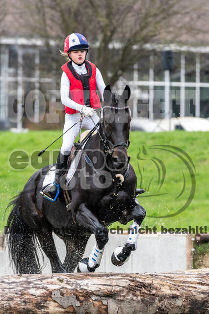 Goldene Schärpe 2020 - Pferde