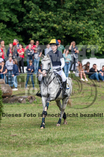 Goldene Schärpe 2021 - Ponys