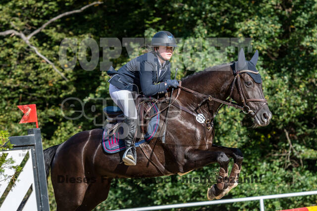 RFV Dinslaken-Hiesfeld (Herbstturnier)