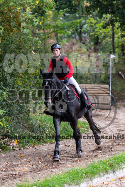 Goldene Schärpe 2020 - Pferde