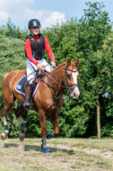 Goldene Schärpe 2021 - Ponys