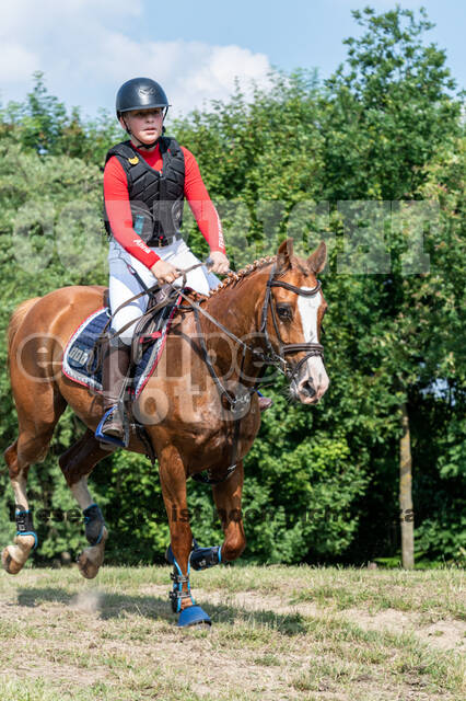 Goldene Schärpe 2021 - Ponys