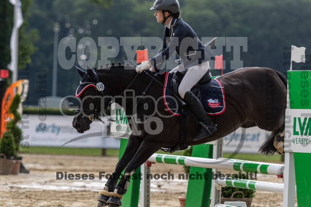 Goldene Schärpe 2021 - Ponys