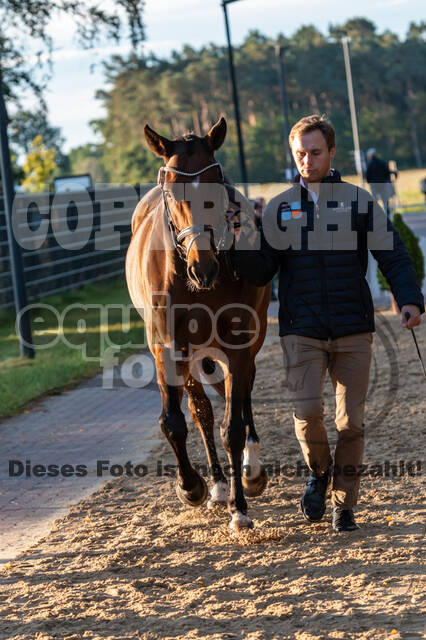 Deutsche Meisterschaft Vielseitigkeit (Luhmühlen)