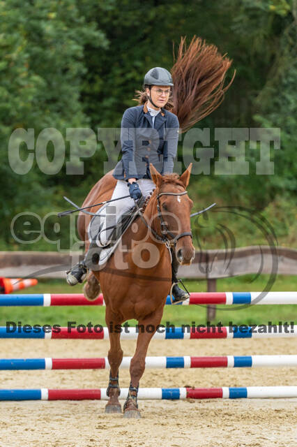 Vielseitigkeit RSV Wesel Obrighoven (26.+27.09.2020)