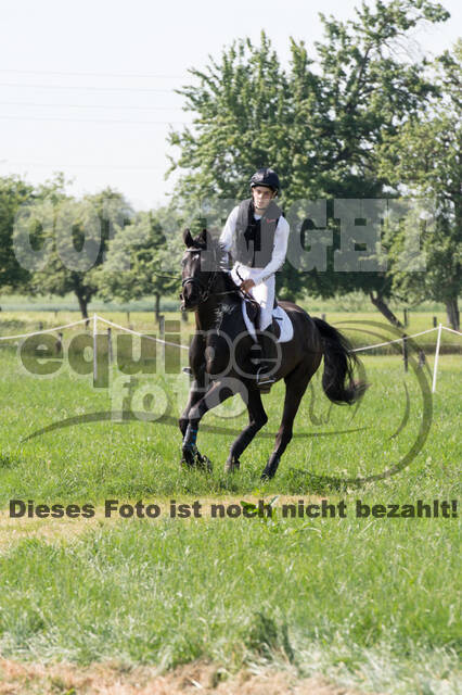 Vielseitigkeitsturnier ZRuFV von Lützow Hamminkeln