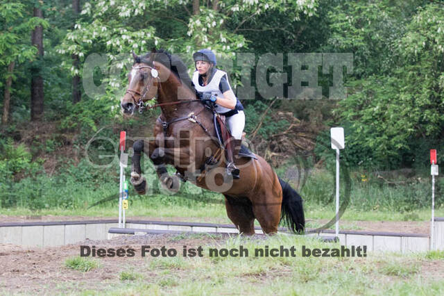 Vielseitigkeitsturnier ZRFV von Lützow Hamminkeln