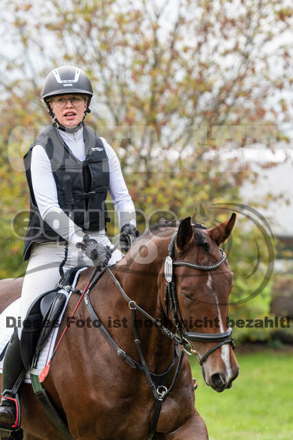 Goldene Schärpe 2020 - Pferde