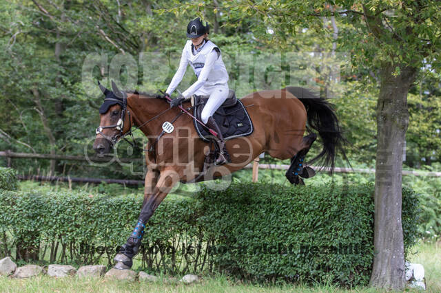 Late-Entry-Vielseitigkeit Gahlen (18.07.2020)