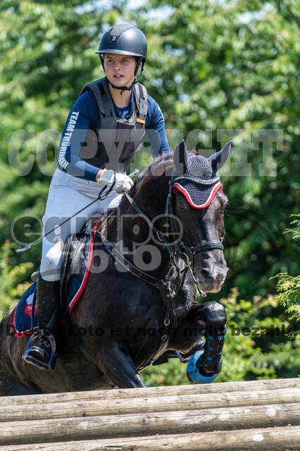 Goldene Schärpe 2021 - Ponys