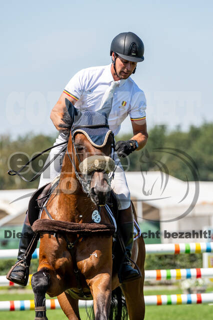 Kronenberg - De Peelbergen (August 2020)