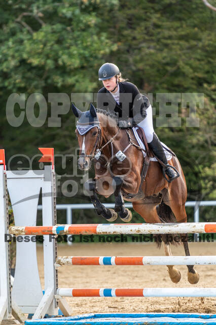 RFV Dinslaken-Hiesfeld (Herbstturnier)