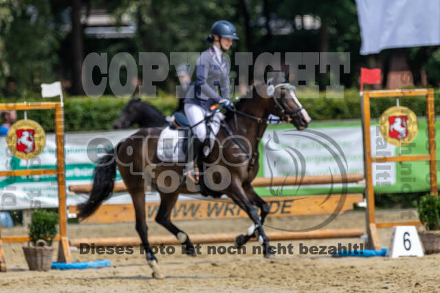 Goldene Schärpe 2021 - Ponys