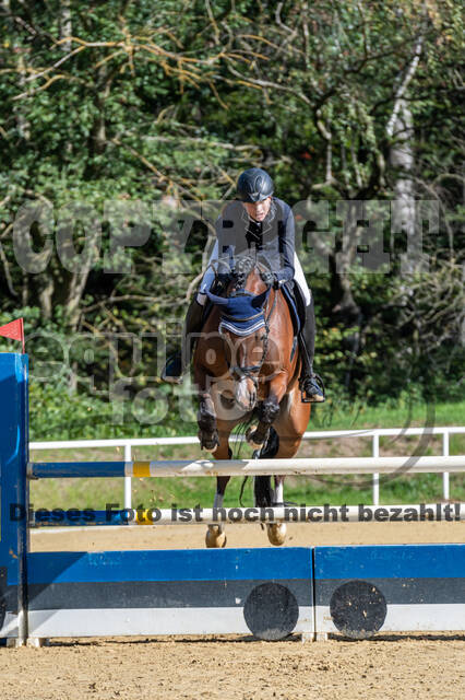RFV Dinslaken-Hiesfeld (Herbstturnier)