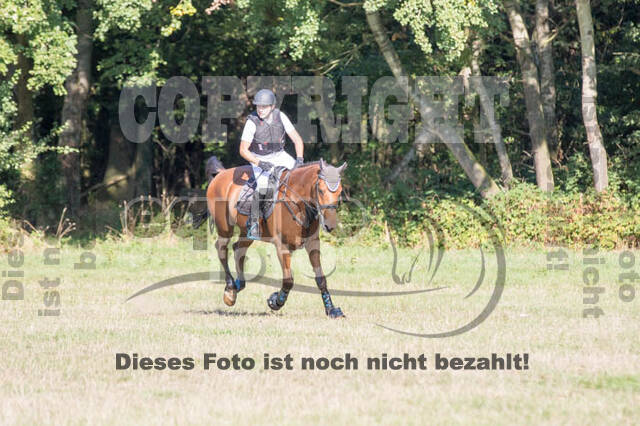 Vielseitigkeitsturnier RSV St. Hubertus Wesel Obrighoven