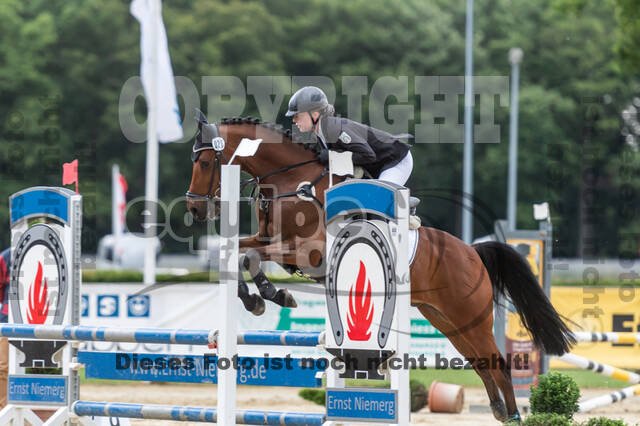Goldene Schärpe 2021 - Ponys