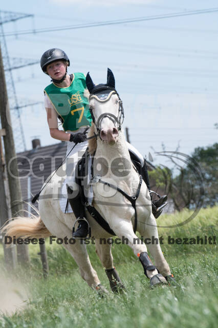 Vielseitigkeitsturnier ZRuFV von Lützow Hamminkeln