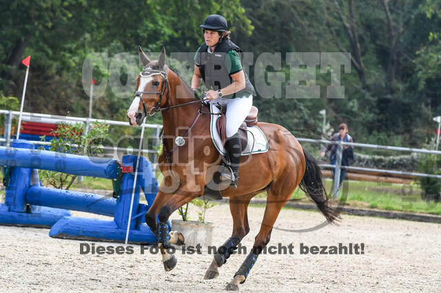 Late-Entry-Vielseitigkeit Langenfeld (11.+13./14.06.2020)