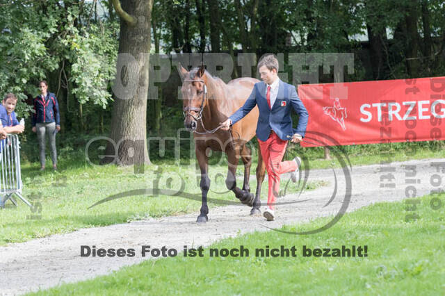 European Championship Eventing 2017