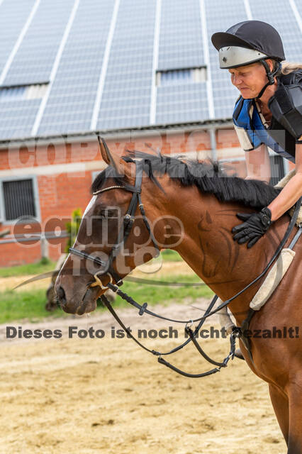 Hunter Geländetraining 10.07.2021 (Sonsbeck)