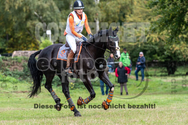 Vielseitigkeit RSV Wesel Obrighoven (26.+27.09.2020)