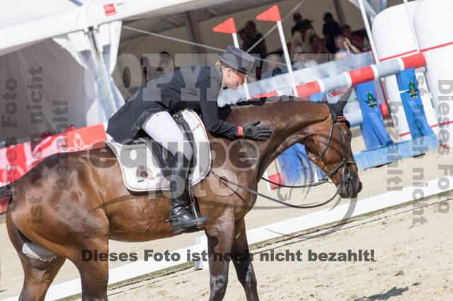 FEI European Championship Eventing 2017