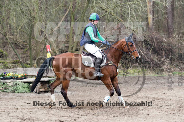 Jungpferdetag Hamminkeln