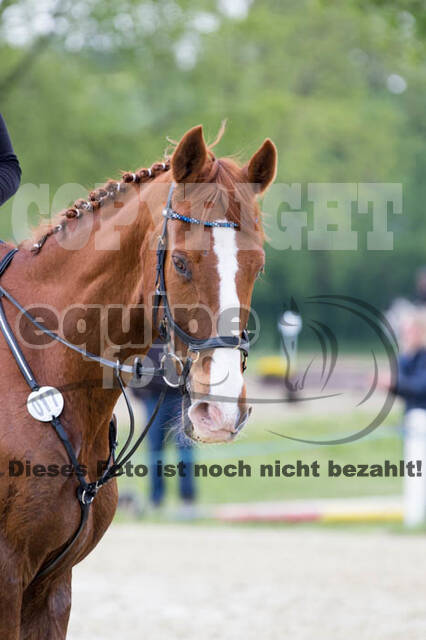 Vielseitigkeitsturnier RuFV Rheurdt