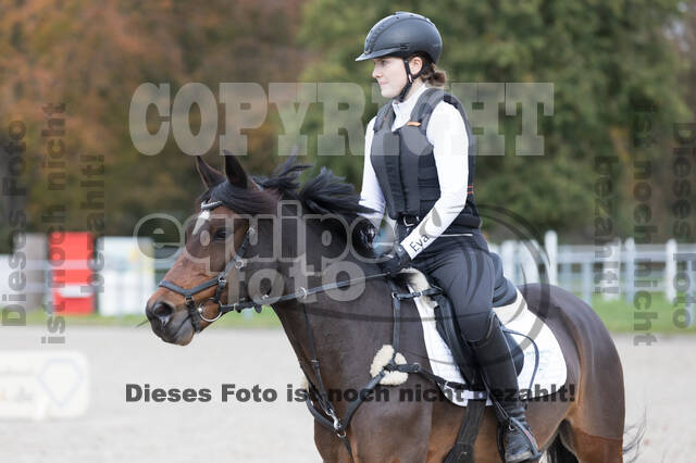 IGV Lehrgang der Sieger der Cups mit Frank Ostholt