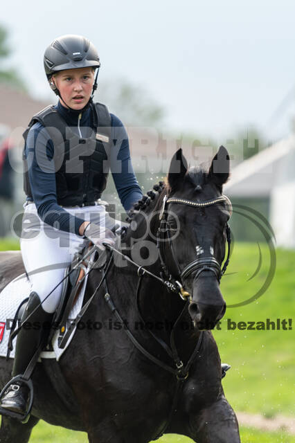 Goldene Schärpe 2020 - Pferde