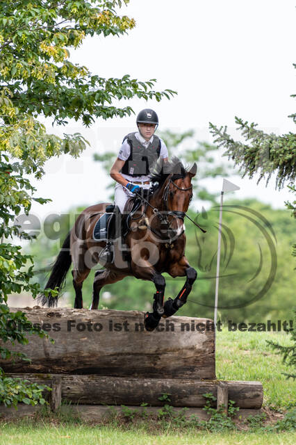 Late-Entry-Vielseitigkeit Langenfeld (11.+13./14.06.2020)