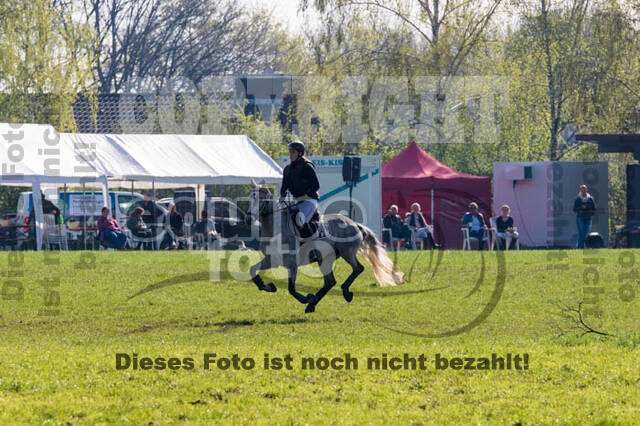 Vielseitigkeitsturnier RV Lippe-Bruch-Gahlen