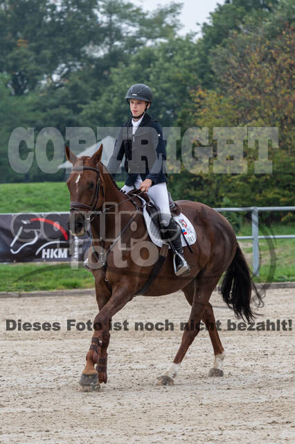 Goldene Schärpe 2020 - Pferde