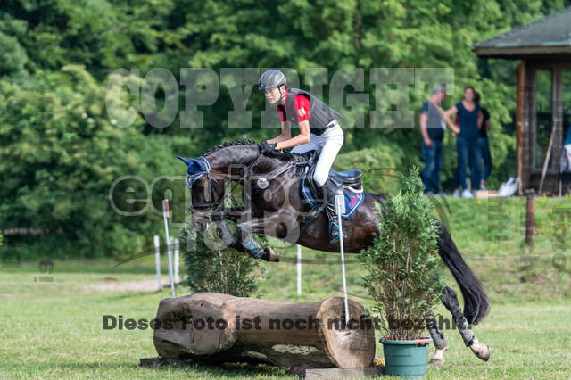 Goldene Schärpe 2021 - Ponys