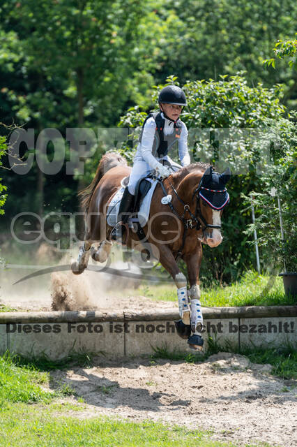 Goldene Schärpe 2021 - Ponys