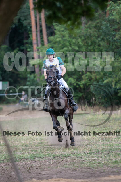 Late-Entry Vielseitigkeit Hamminkeln/Wesel (01.+02.08.2020)