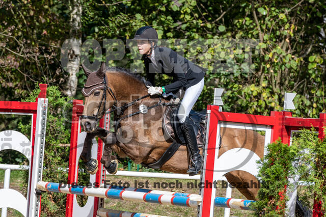 RFV Dinslaken-Hiesfeld (Herbstturnier)