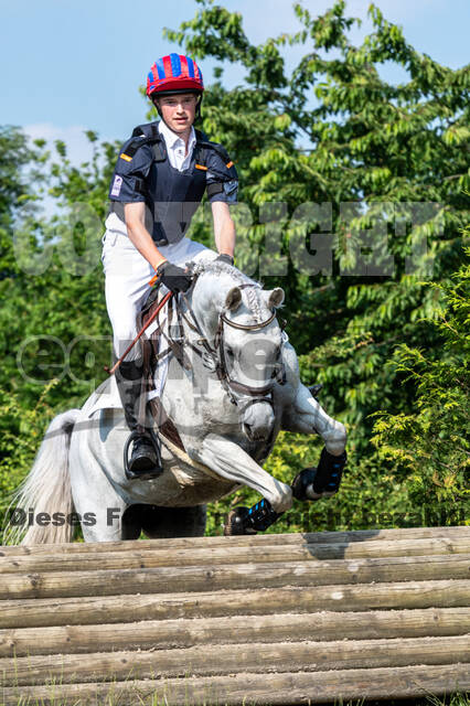 Goldene Schärpe 2021 - Ponys