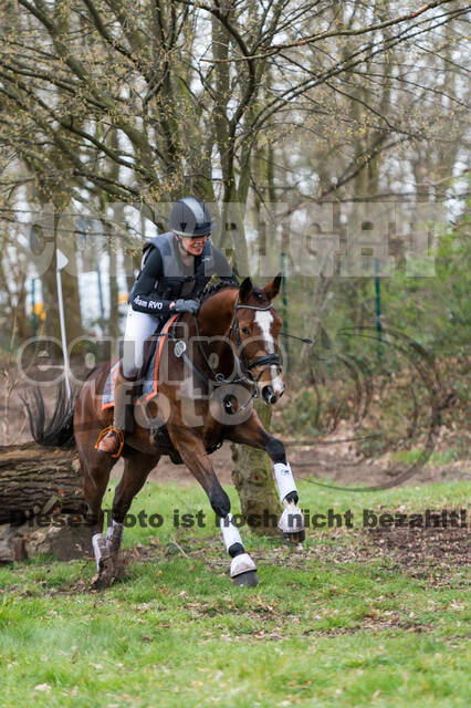 Eventing im Pferdesportzentrum Rheinland (Late Entry 14.03.2022)