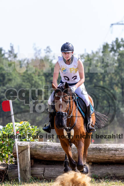 Late-Entry Vielseitigkeit Hamminkeln/Wesel (01.+02.08.2020)